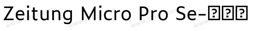 Zeitung Micro Pro Se字体转换